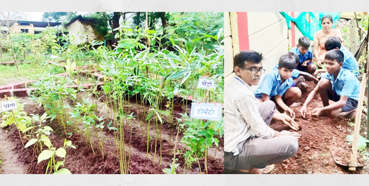 जि. प. शाळांतील परसबाग बहरल्या