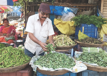 हंगामी भाज्यांची आवक वाढली