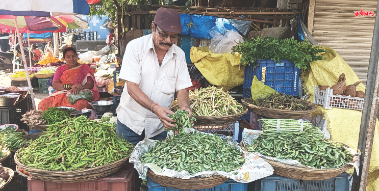हंगामी भाज्यांची आवक वाढली