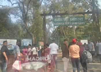 कर्नाळा पक्षी अभयारण्यात मोठी गर्दी