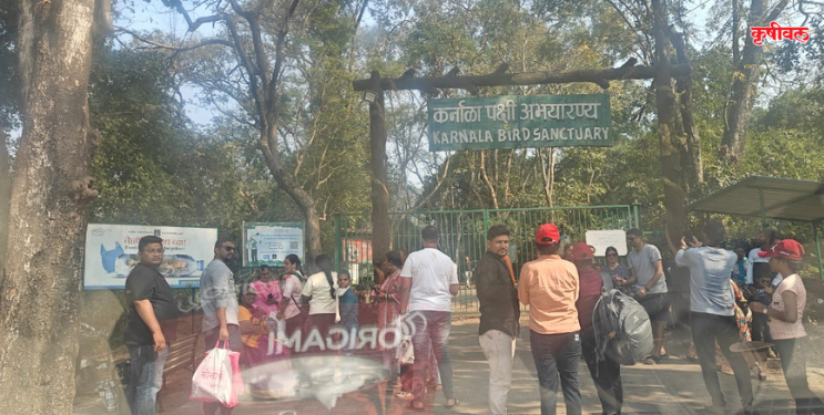 कर्नाळा पक्षी अभयारण्यात मोठी गर्दी