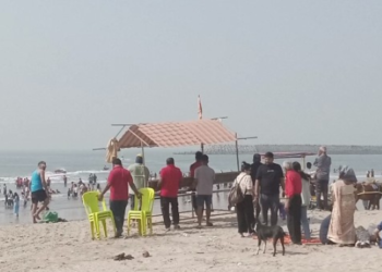 नववर्षाच्या स्वागतासाठी मुरूड किनारे फुलले