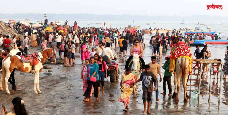 जिल्ह्यात नववर्षाचा उत्साह शिगेला