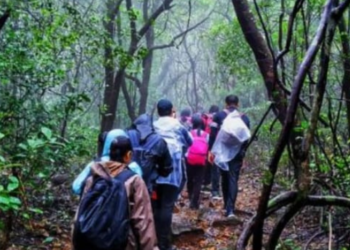 ‘अंधारबन’ सह्याद्रीच्या कुशीतलं जंगल