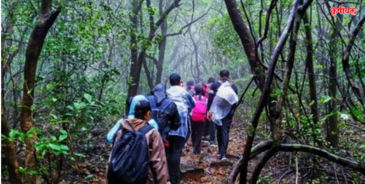 ‘अंधारबन’ सह्याद्रीच्या कुशीतलं जंगल