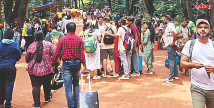 कर्जत-माथेरानमध्ये थर्टी फर्स्टची तयारी