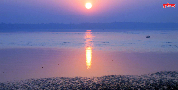 नव्या वर्षाचे जल्लोषात स्वागत