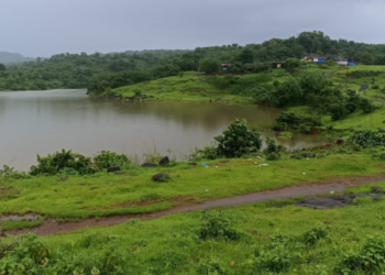 सरकारी जमीन बळकावण्याचा डाव