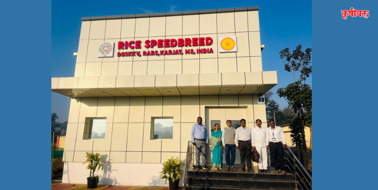 वातावरणपूरक भात वाणनिर्मितीने अन्नसुरक्षा, पोषणसुरक्षेस बळकटी: डॉ. संजय भावे