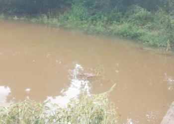 जलसंजीवनीतर्फे पाथरजमध्ये बंधाऱ्यांची निर्मिती