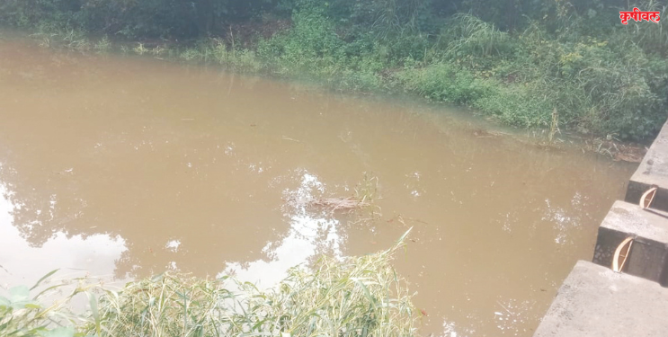 जलसंजीवनीतर्फे पाथरजमध्ये बंधाऱ्यांची निर्मिती