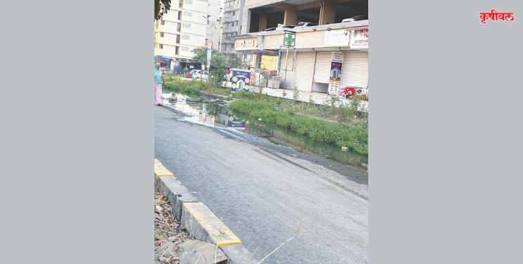 सिडकोचे दुर्लक्ष, रहिवाशांच्या नशिबी नरकयातना