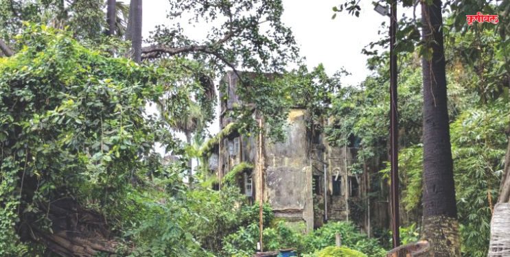 मागासवर्गीय मुलींना मिळणार हक्काचे वसतिगृह