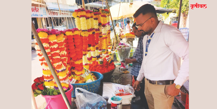 प्लास्टिकचा वापर करणाऱ्यांना दणका