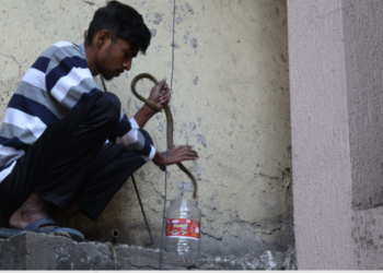 खांदा वसाहतीत सर्पमित्राची धाडसी कामगिरी