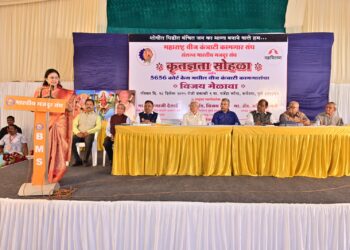 वीज कंत्राटी कामगारांचा विजय मेळावा