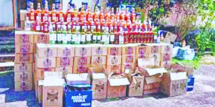 गोवा बनावटीची दारू जप्त