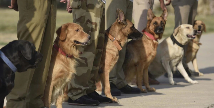 डॉग स्कॉड गुन्हेगारांचे कर्दनकाळ