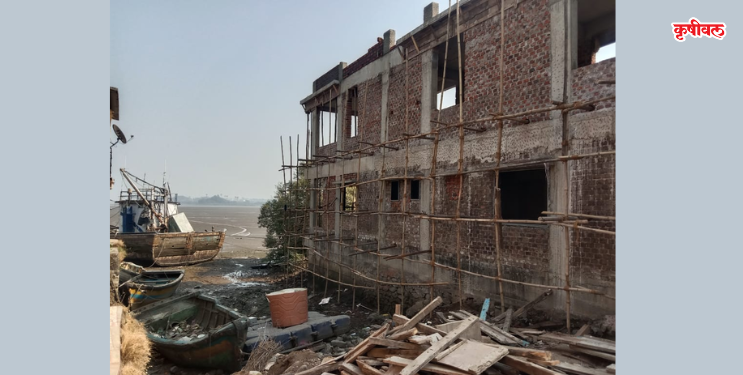 उरणच्या खाडीत सीआरझेडची पायमल्ली