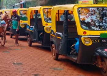 पर्यटकांना ई-रिक्षाची तासनतास प्रतीक्षा