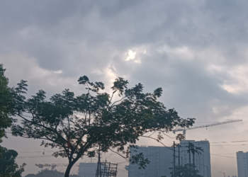 नववर्षाच्या पहिल्याच दिवशी बरसला पाऊस