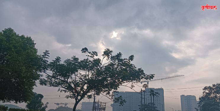 नववर्षाच्या पहिल्याच दिवशी बरसला पाऊस