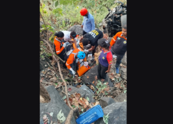 कार दरीत कोसळून चालक ठार