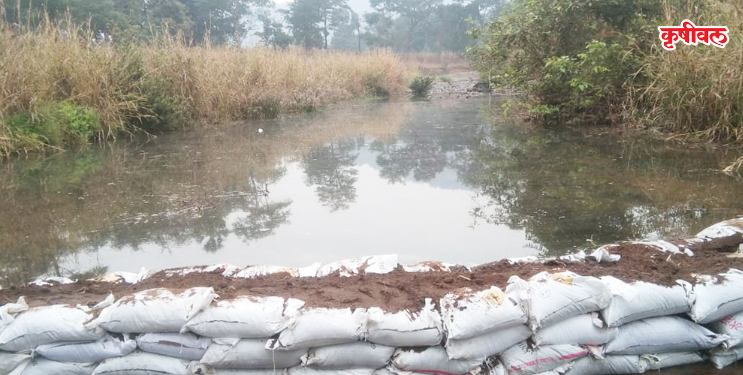 बंधारे ठरतात शेतकऱ्यांसाठी वरदान