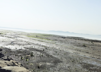 चौथ्या बंदरामुळे जेएनपीए अडचणीत