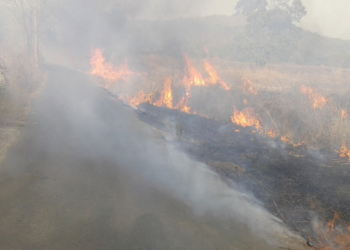 रस्त्यालगतचा वणवा अपघाताला निमंत्रण
