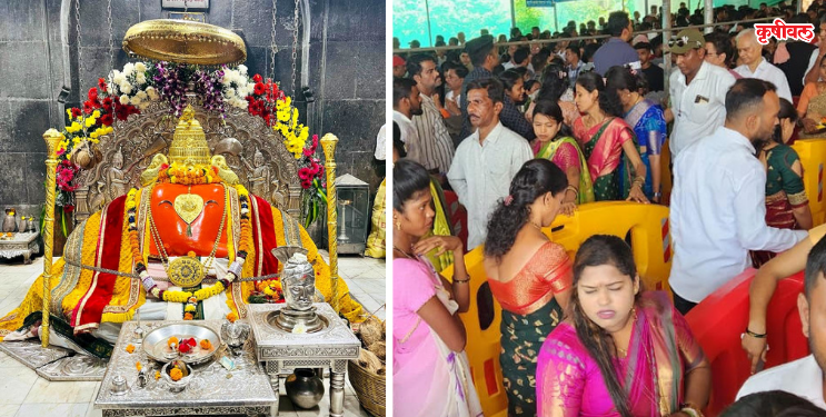 पालीत भाविकांची मांदियाळी