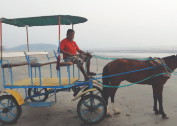 मुरूडमधील घोडागाडी व्यवसाय अडचणीत?