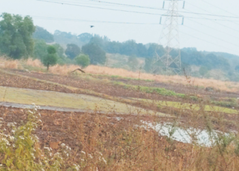 पाण्याअभावी दुबार शेती संकटात