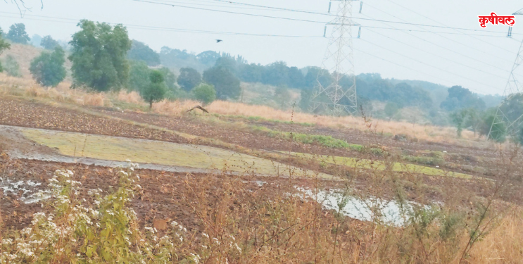 पाण्याअभावी दुबार शेती संकटात