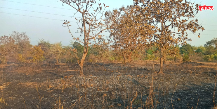 दुरटोली गावानजीक लागला वणवा