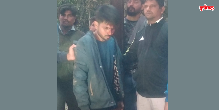 उरणमध्ये गुरे चोरणाऱ्या टोळीचा हैदोस