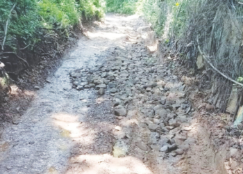 भडवळ परिसरात रस्त्याच्या कामाचे भूमिपूजन