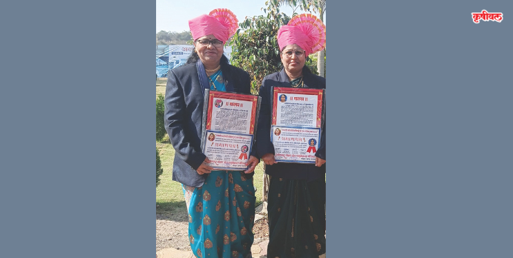 दिपा फाळके सन्मानित