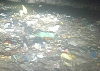 आमदारांच्या गावातील ‌‘विकास’ उघडकीस