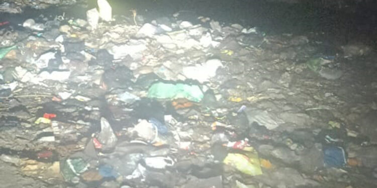 आमदारांच्या गावातील ‌‘विकास’ उघडकीस