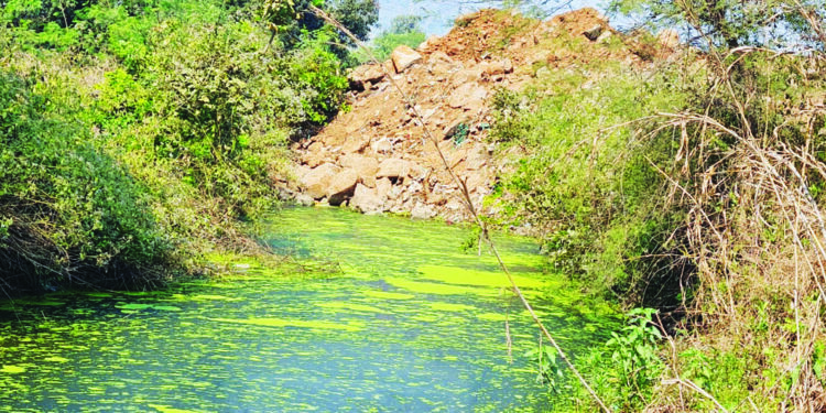 माती भरावाने नैसर्गिक नाला बुजवला