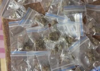 25 हजारांचा गांजा जप्त; दोन आरोपी अटकेत