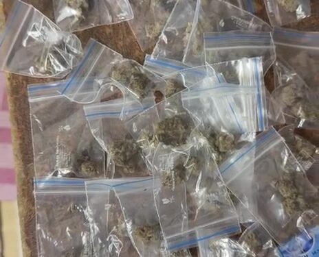 25 हजारांचा गांजा जप्त; दोन आरोपी अटकेत