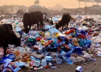 पाली डम्पिंग ग्राऊंडची प्रचंड दुरवस्था