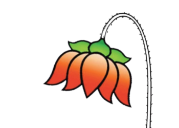 खारेपाटात कमळाला सपशेल नकार