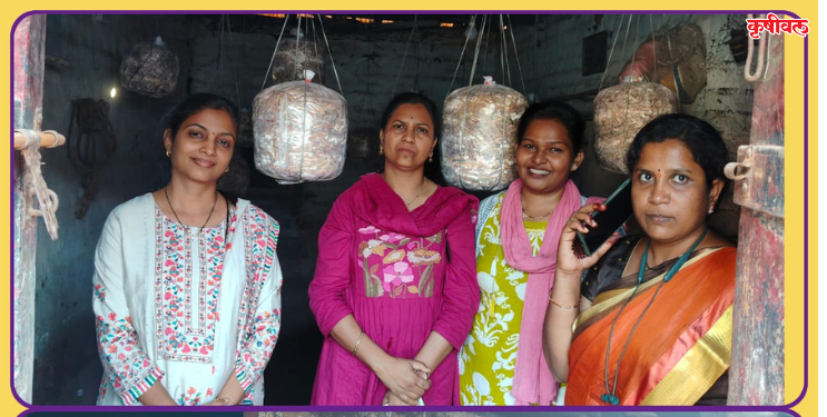 चिरनेर गावातील शेतकऱ्यांना नवसंजीवनी