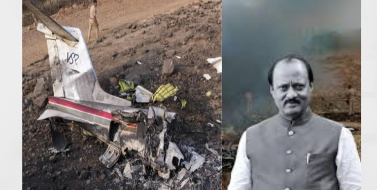 झाडाला धडकून विमान कोसळले