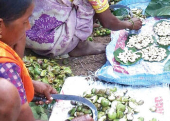 कोकणचा रानमेवा बाजारात दाखल