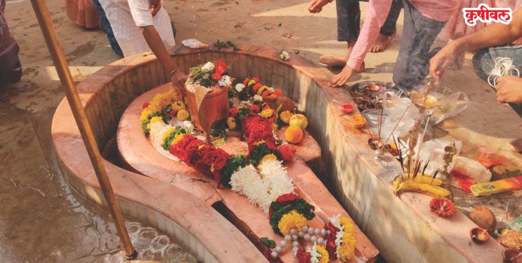 जिल्ह्यात घुमला ‘बम बम भोले’चा नाद