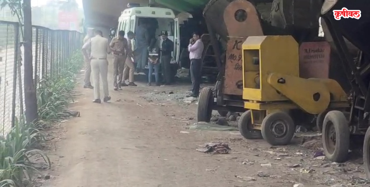 डोक्यात दगड घालून एकाची हत्या